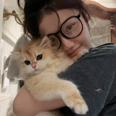 西西里著名的熊入侵事件